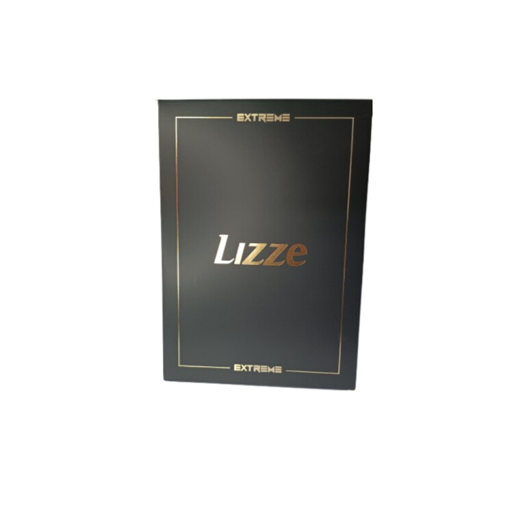 تصویر سشوار حرفه ای لیز Lizze مدل Extreme اکستریم 2400 وات مناسب خشک کردن و حالت دهی مو